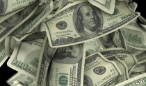 Dollars